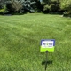 My Guy Pest & Lawn Solutions
