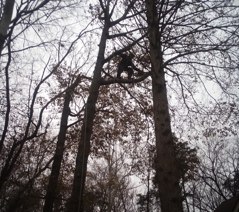 Twizted Hillz Tree Service - Thomasville, NC