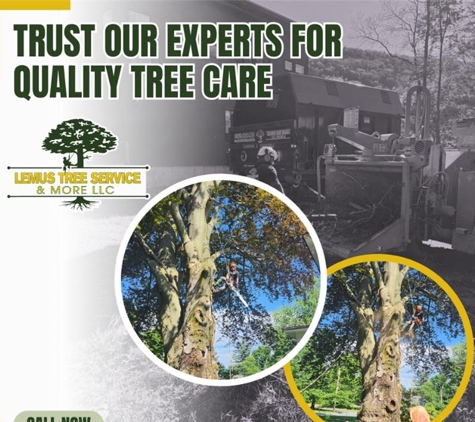 Lemus Tree Service & More LLC - Wappinger Falls, NY