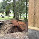 Coleman Stump Removal - Landscaping & Lawn Services