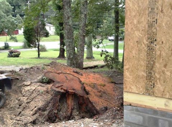 Coleman Stump Removal - lithia springs, GA