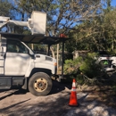 Torres Tree Services - Tree Service