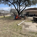 Luna's Tree Service - Stump Removal & Grinding