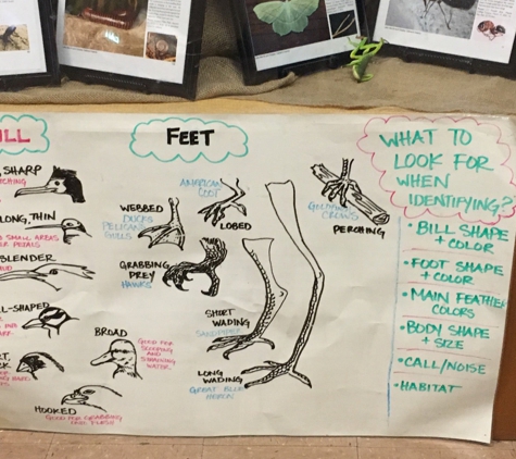 Rotary Nature Center and Waterfowl Refuge - Oakland, CA