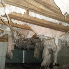 Carolina Crawlspace Solutions