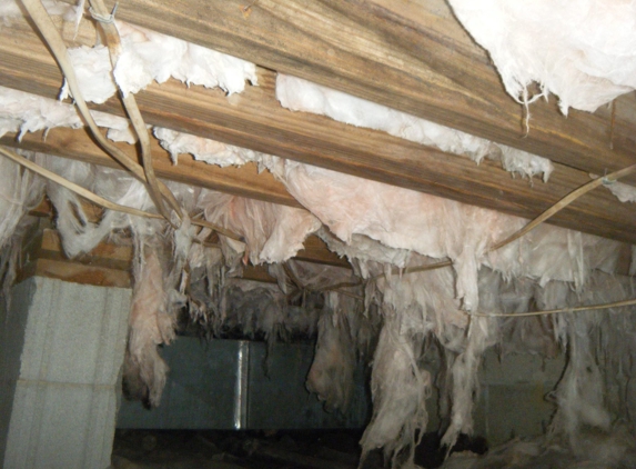 Carolina Crawlspace Solutions - Morehead City, NC