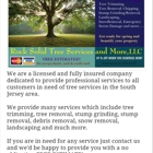 Rock Solid Tree Services and More,LLC