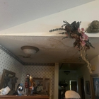 Neptune Mold Solutions
