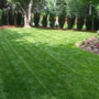 AV'S LAWN CARE LLC