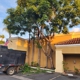 SG Gardening Landscape and Tree Services