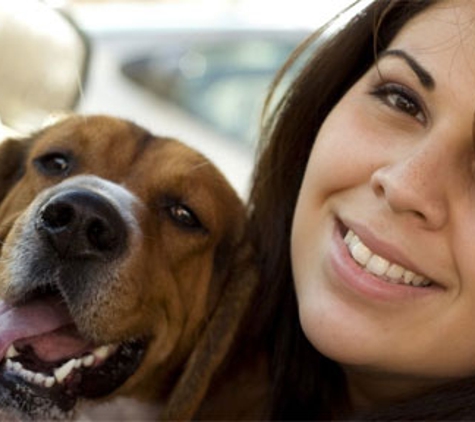 San Antonio Pet Sitters - San Antonio, TX