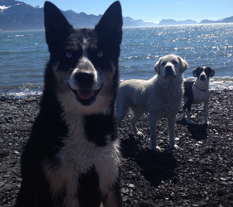 Seward Pet Lodge - seward, AK