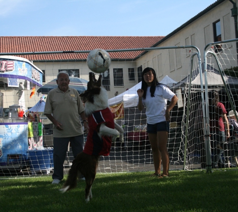 Soccer Dogs - Ocala, FL