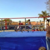 BOXING RING RENTAL SERVICES gallery