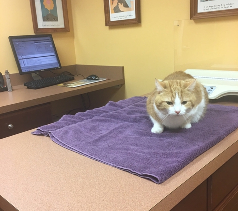 Central Animal Hospital - Leominster, MA