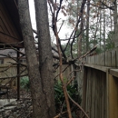 Ron's Tree Service and Firewood - Arborists