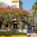 5th Avenue South - Business Plans Development