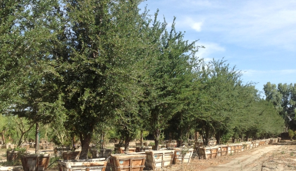 Moon Valley Nurseries - Peoria, AZ