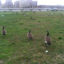 Ulysses Wiggins Waterfront Park - Parks