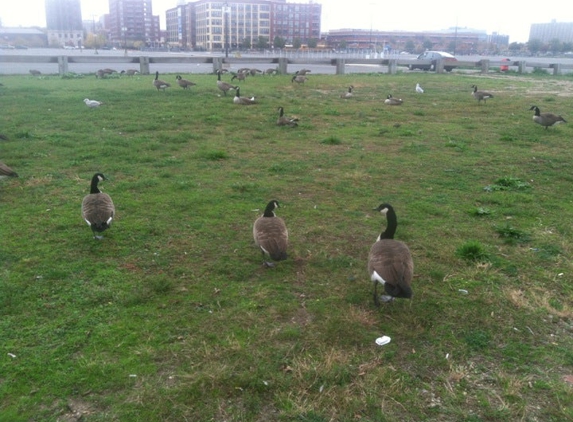 Camden Waterfront Marketing Bureau - Camden, NJ