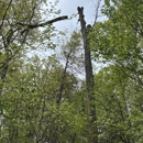United Tree Services - Tree Service
