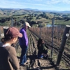 Appellation Wine Tours Santa Barbara gallery