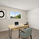 Parthenia Terrace Apartments - Apartments