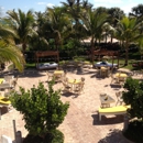 Plant Professionals - Landscape Contractors