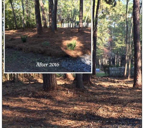 Martinez Landscaping and Pinestraw Service - Ladson, SC. McClellanville, SC