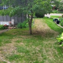 Showcase Lawn Care - Gardeners