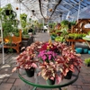 Puritas Nursery & Garden Center gallery