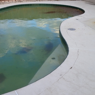 Pool Doctor The - Pinellas Park, FL. before