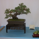 Ron Anderson Bonsai - Garden Centers