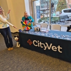 CityVet | Carmel