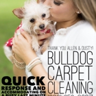 Bulldog Carpet Cleaning