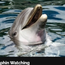 Explore Naples by Boat.com - Boat Tours