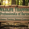 Wildlife Trapping Professionals of Bartow gallery