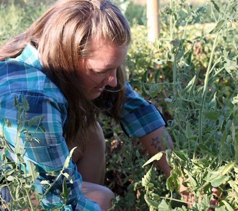 BeeWench Farm - Shandon, CA