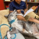 Reading Ranch Tutorial Center - Lewisville - Tutoring