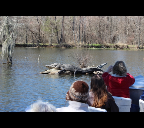 Cajun Country Swamp Tours - breaux bridge, LA