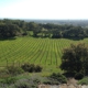 Paradise Ridge