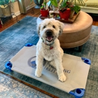 Dog Training Elite Northeast Ohio Facility