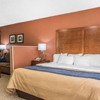 Comfort Inn gallery