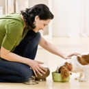 Greene Valley Pet Care Services - Pet Boarding & Kennels