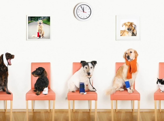 Wetherill Park Vet Clinic - Wetherill Park, NSW