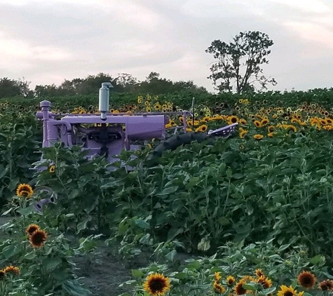 Center Grove Orchard - Cambridge, IA