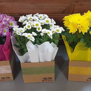 Lilly Pilly Flower Boutique - Moe, VIC