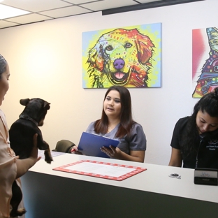 Grant Square Animal Hospital - Oklahoma City, OK. Great Receptionist