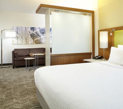 SpringHill Suites by Marriott Houston Intercontinental Airport - Houston, TX