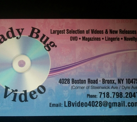 Lady Bug Video - Bronx, NY